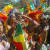 neonmamacita_west-indian-parade-8